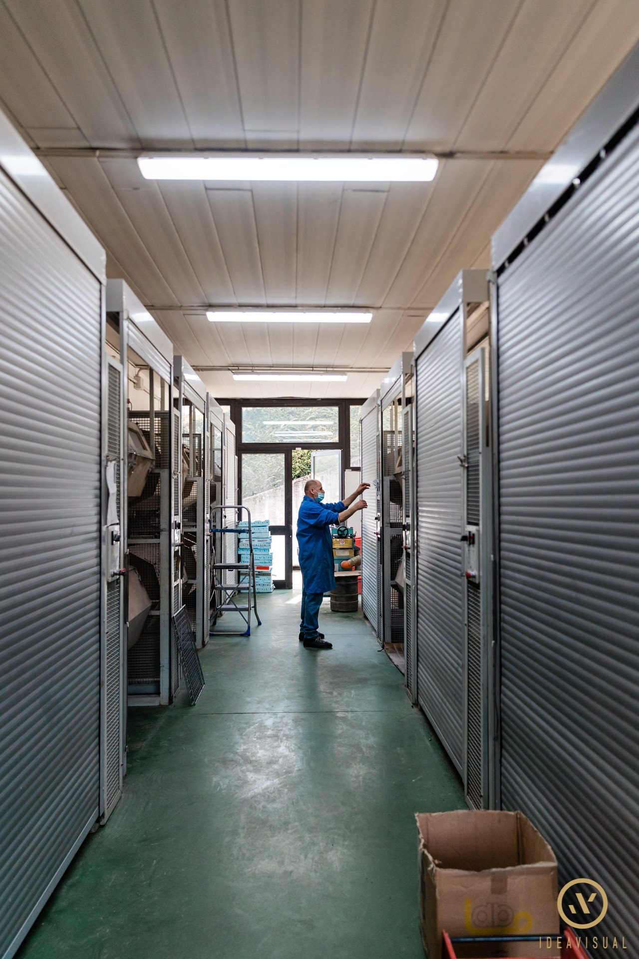 servizio fotografico e video aziendale di occhiali